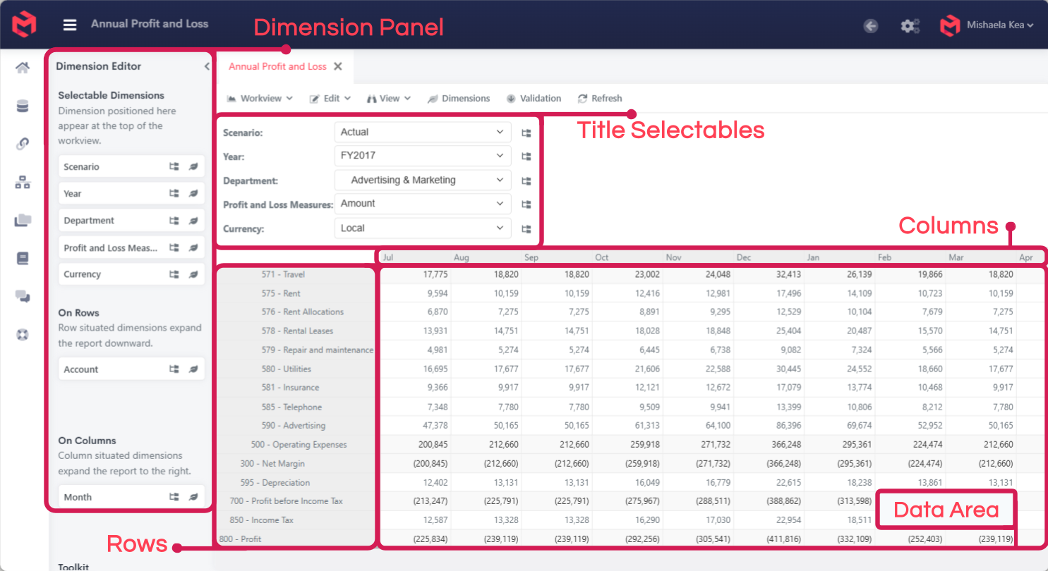 An open Workview, showing dimensions arranged on titles, rows and columns with data populated in the grid